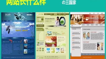 網(wǎng)站建設(shè) 打造您的在線門戶