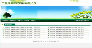 專業(yè)鑄就卓越 廣州網(wǎng)站建設(shè)與網(wǎng)頁設(shè)計(jì)公司案例解析