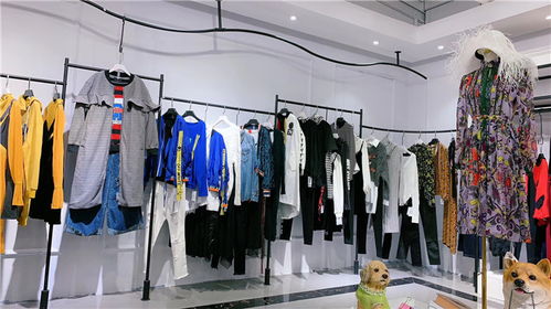 品牌尾貨批發新風尚 梵尼天匯與華麗宮歐萊華的服飾商機解析